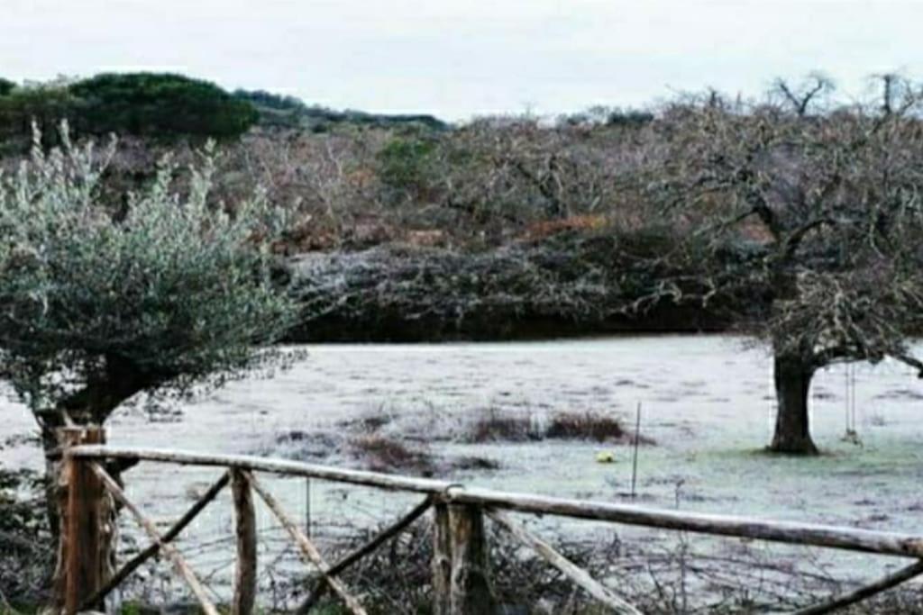 Olivae Villa Aracena Luaran gambar